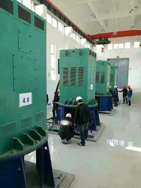 胡市镇某污水处理厂使用我厂的立式高压电机安装现场