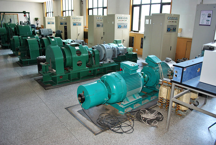 胡市镇某热电厂使用我厂的YKK高压电机提供动力